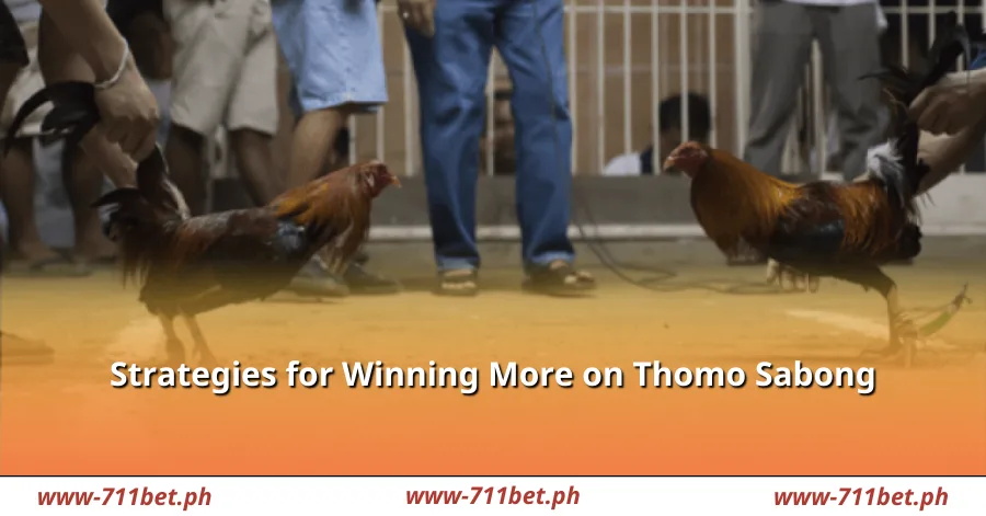 Strategies for Winning More on Thomo Sabong